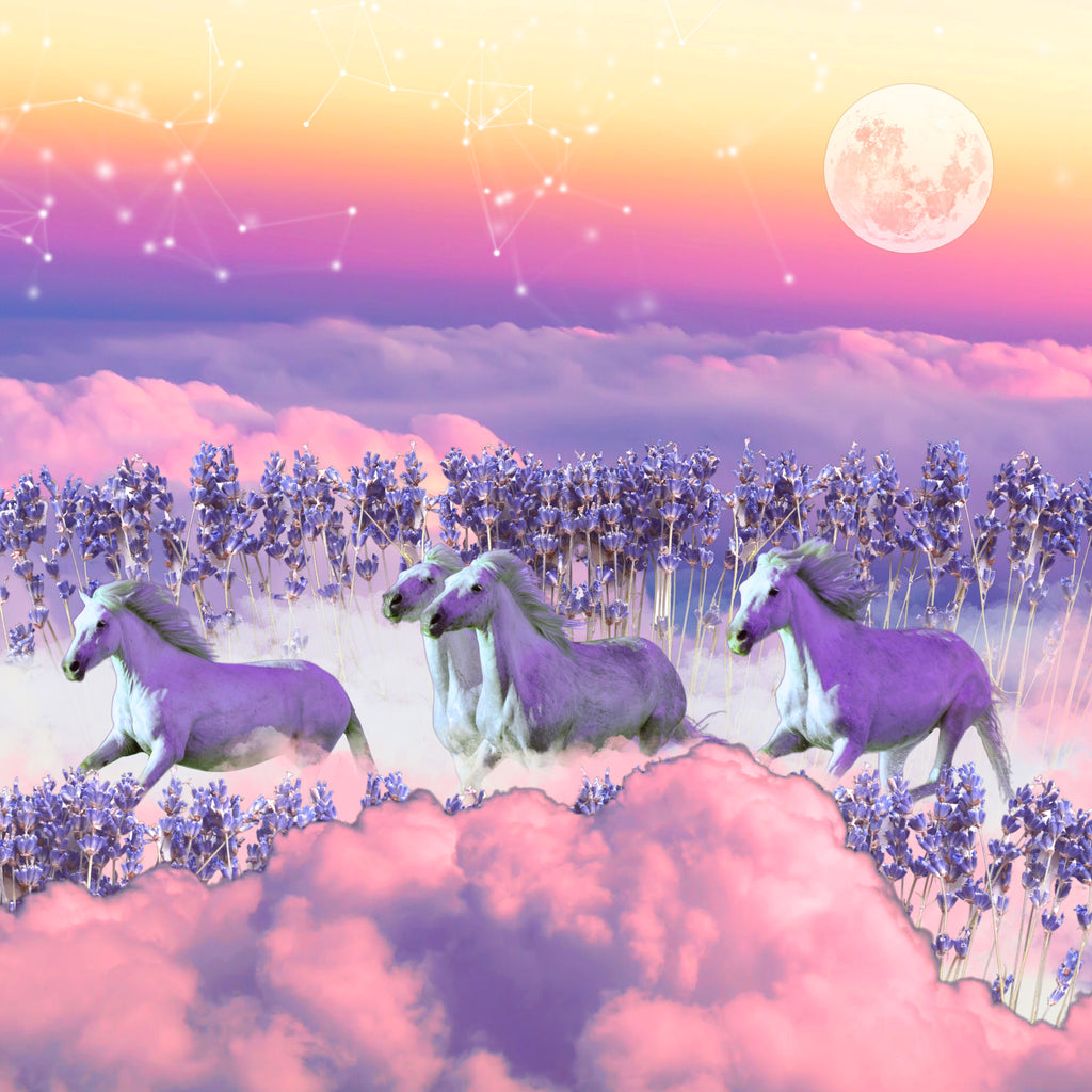 The Astrology of December 2022 // Horse Symbolism