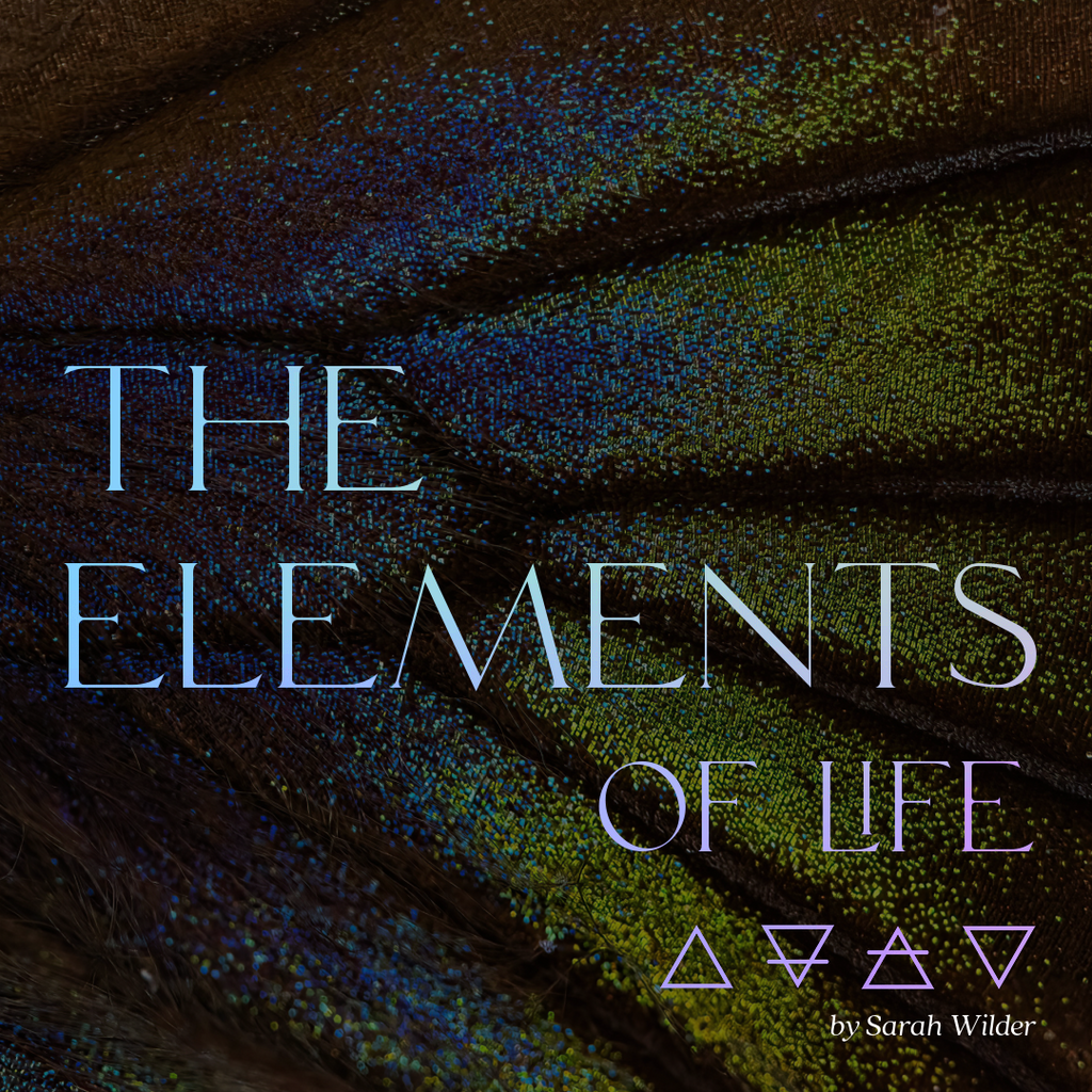 Life Element Pattern THE ELEMENTS OF LIFE | SARAHWILDER.CO
