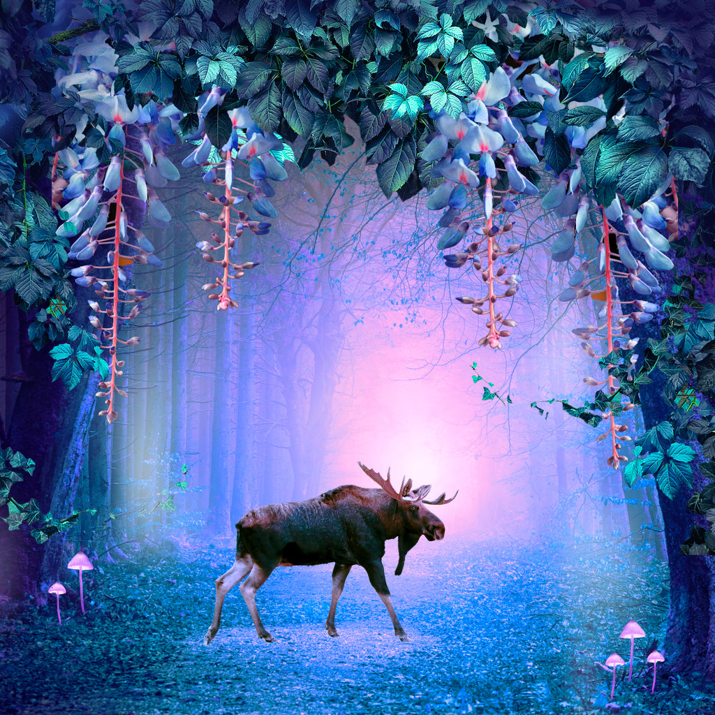 The Astrology of January 2022 // Moose Symbolism