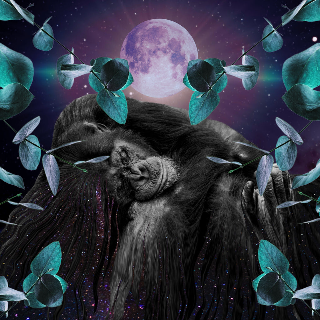 The Astrology of July 2022 // Gorilla Symbolism